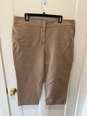 Ann Taylor Womens Beige Pull-On Capri Pants
